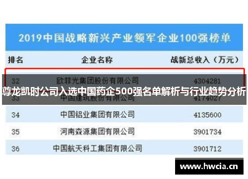 尊龙凯时公司入选中国药企500强名单解析与行业趋势分析